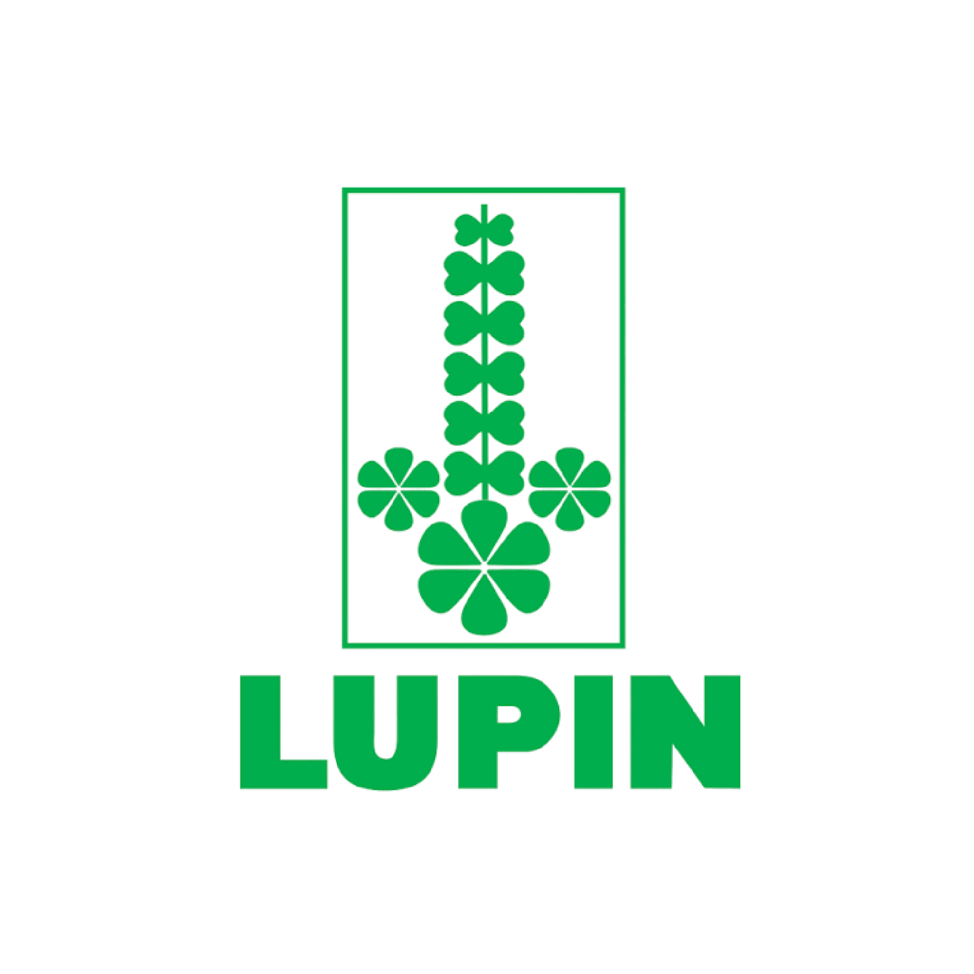 Lupin